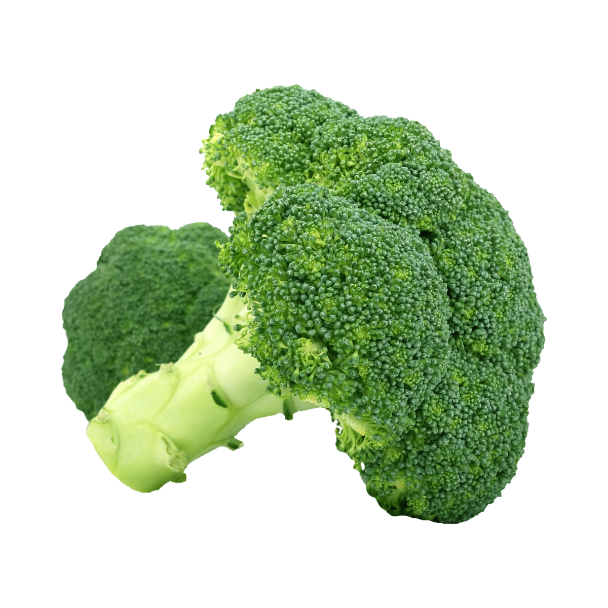 Tribaldos Brocoli kg