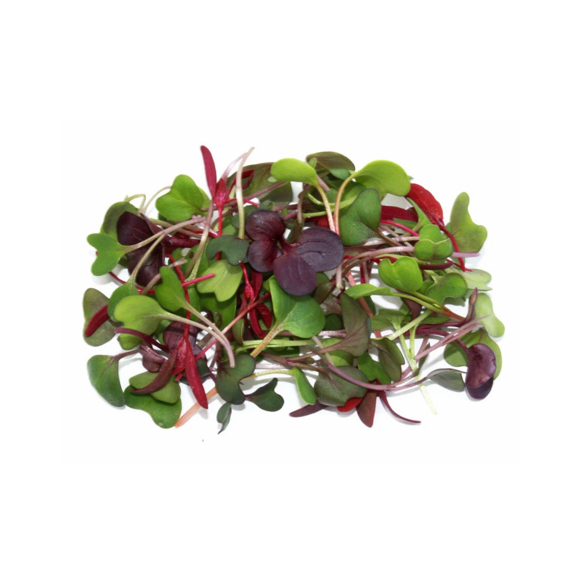 Aqua 507 Microgreens Mix