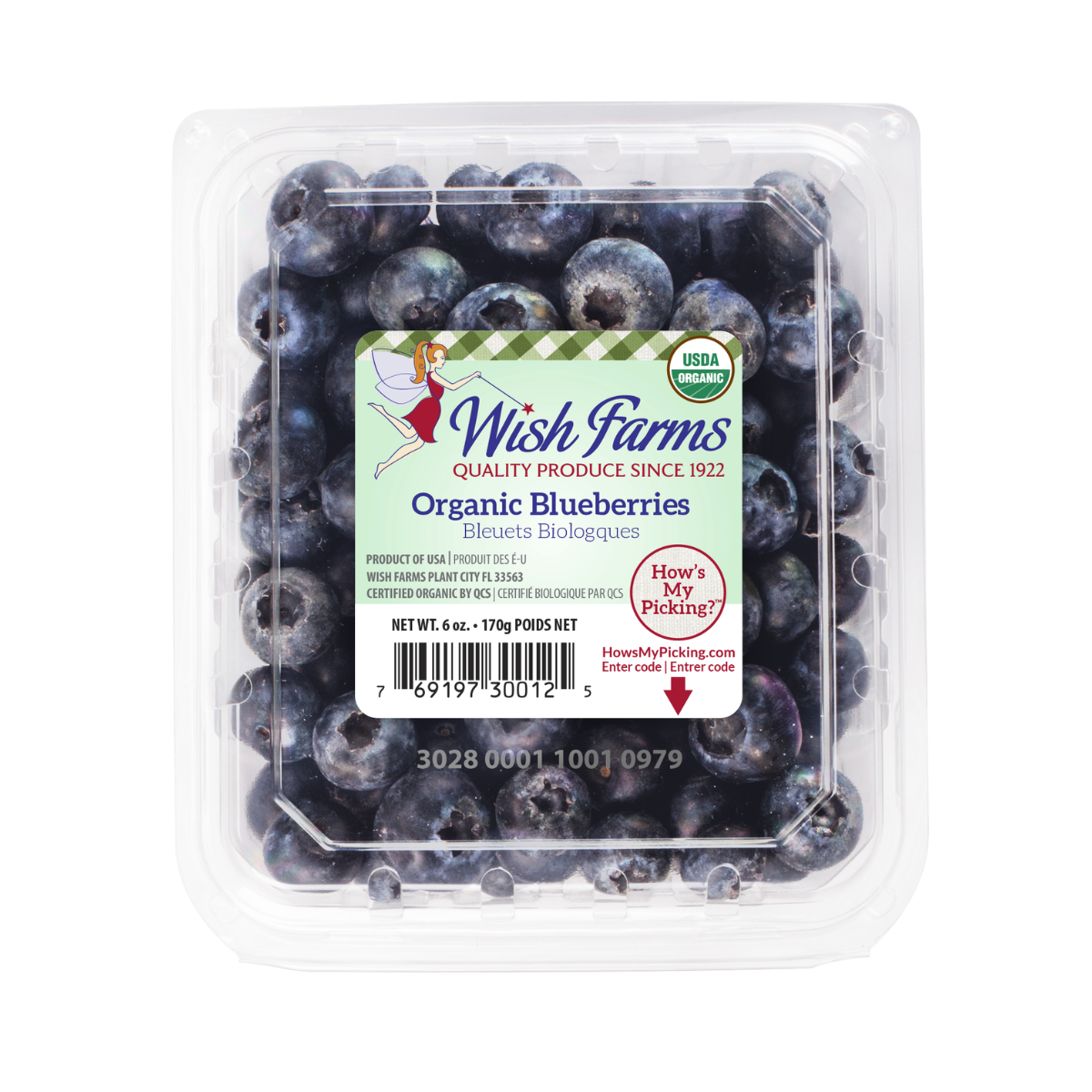 Wish Farms Organic Blueberries 6oz