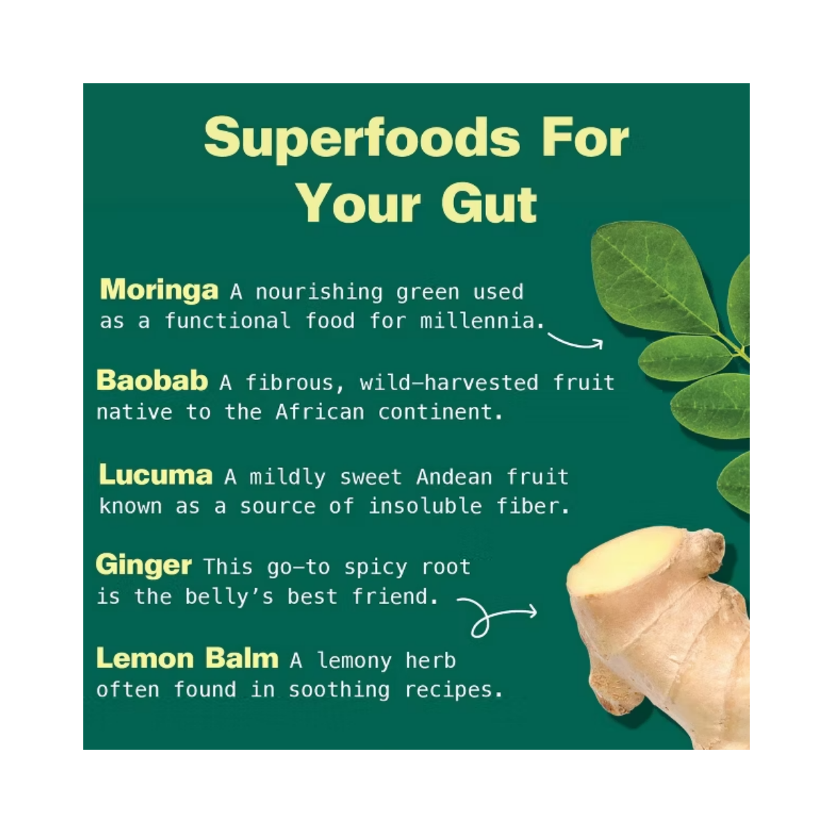 Kuli Kuli Organic Gut Bliss Superfood Blend Dietary Supplement Powder 6oz