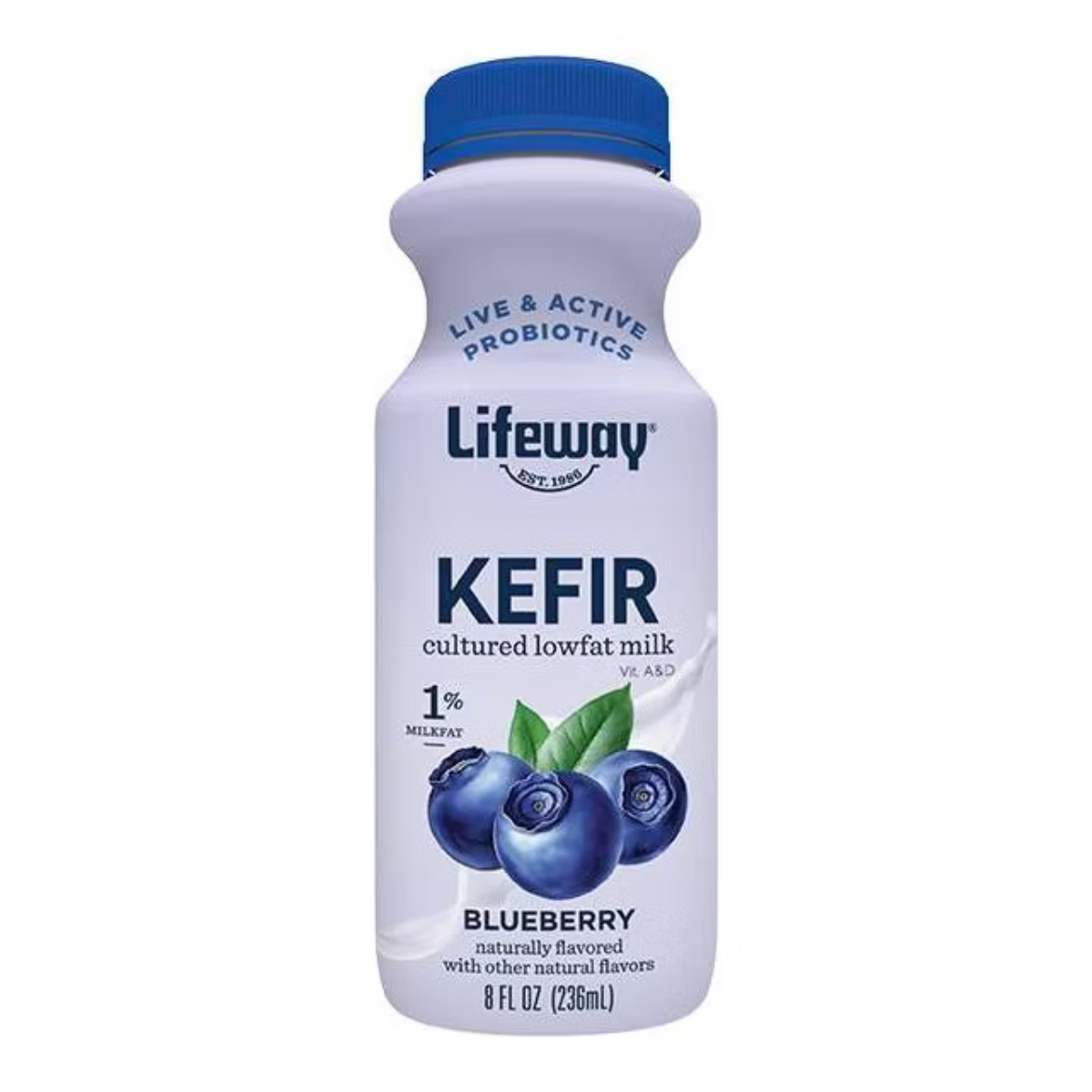 Lifeway Kefir Blueberry Low Fat Milk Smoothie 8fl oz