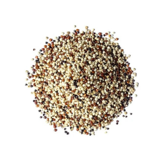 Bulk Grain Quinoa Tri Color