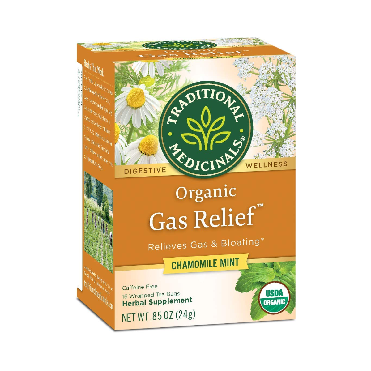 Traditional Medicinals Tea Bags Gas Relief OG 16c