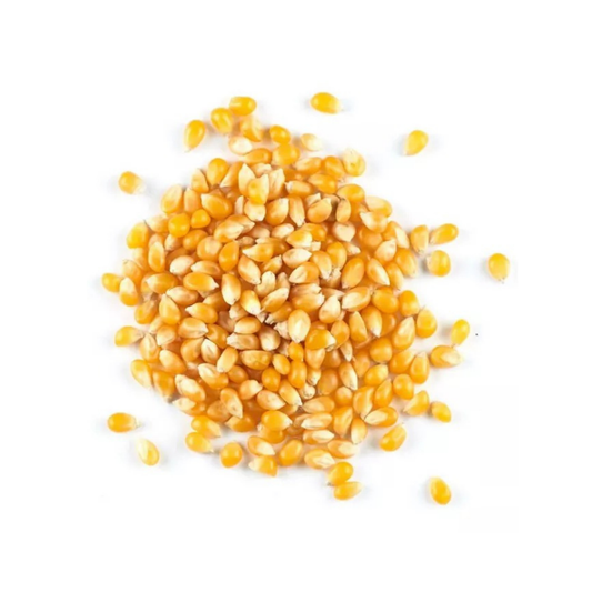 Bulk Grain Popcorn Yellow