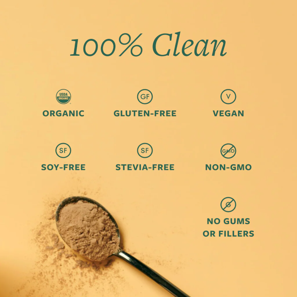 CLEAN Probiotic Protein Powder Vanilla 21.16oz