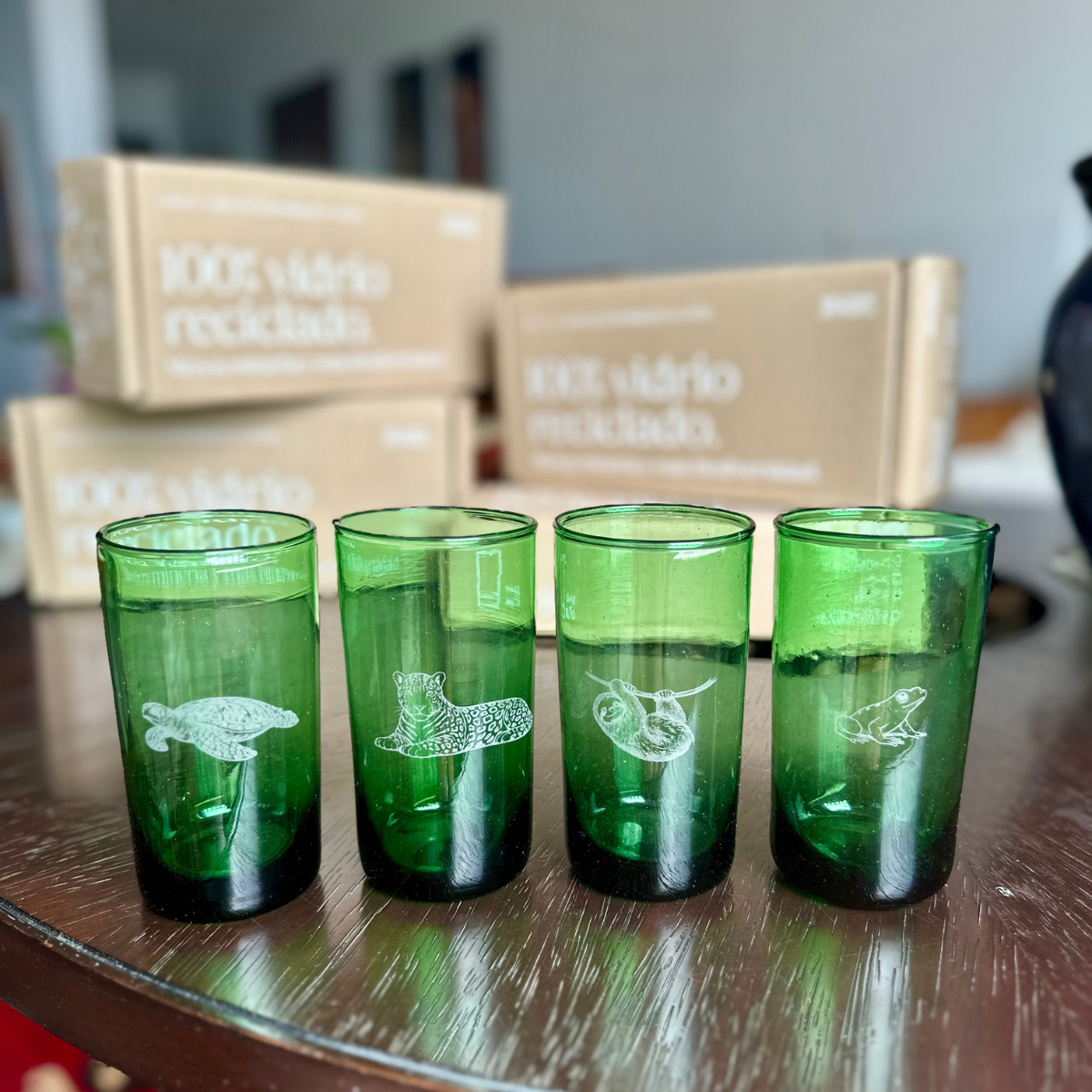 Coati Vasos Reciclados Edición Limitada 4c
