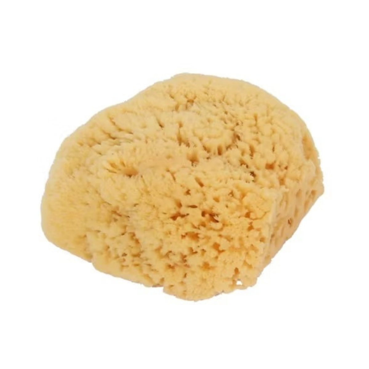 Bass Brushes Body Care Natural Sea Sponge 1c