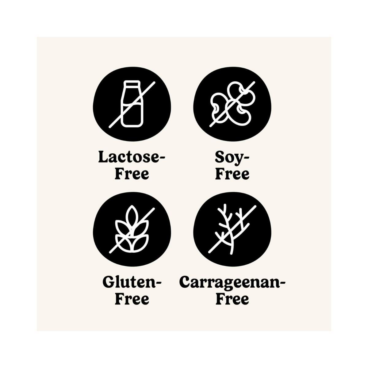 So Delicious Yogurt Alternative Vanilla Coconutmilk 5.3oz