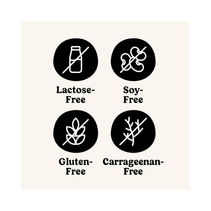 So Delicious Yogurt Alternative Vanilla Coconutmilk 5.3oz