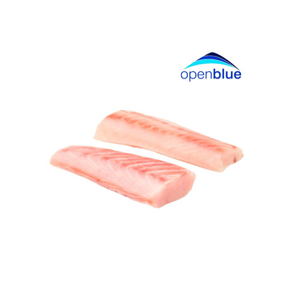 Open Blue Cobia 2c