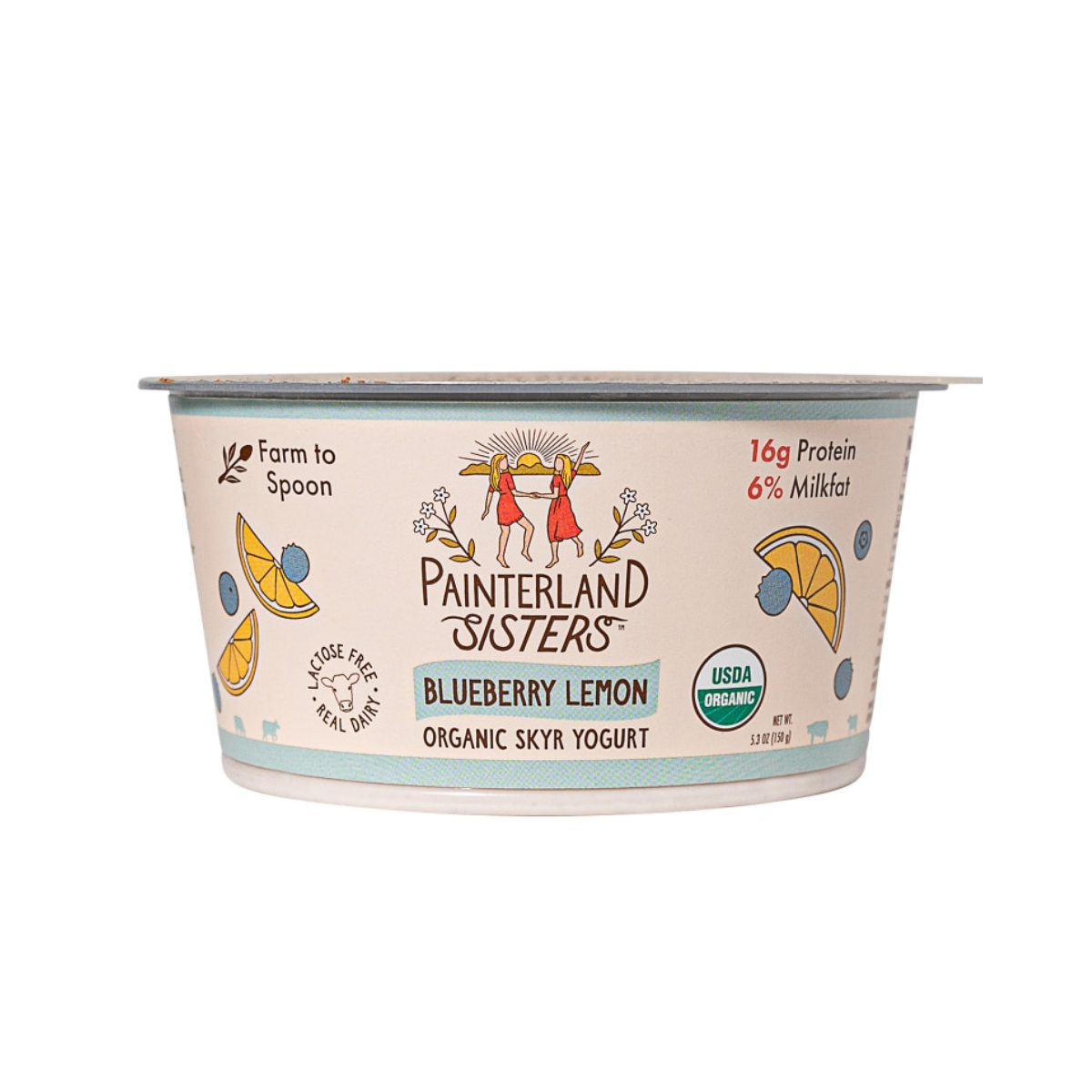 Painterland Sisters Organic Blueberry Lemon Icelandic Style Skyr Yogurt