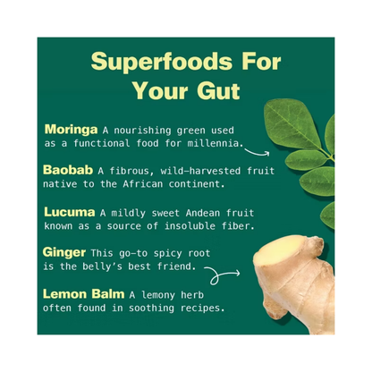 Kuli Kuli Organic Gut Bliss Superfood Blend Dietary Supplement Powder 6oz