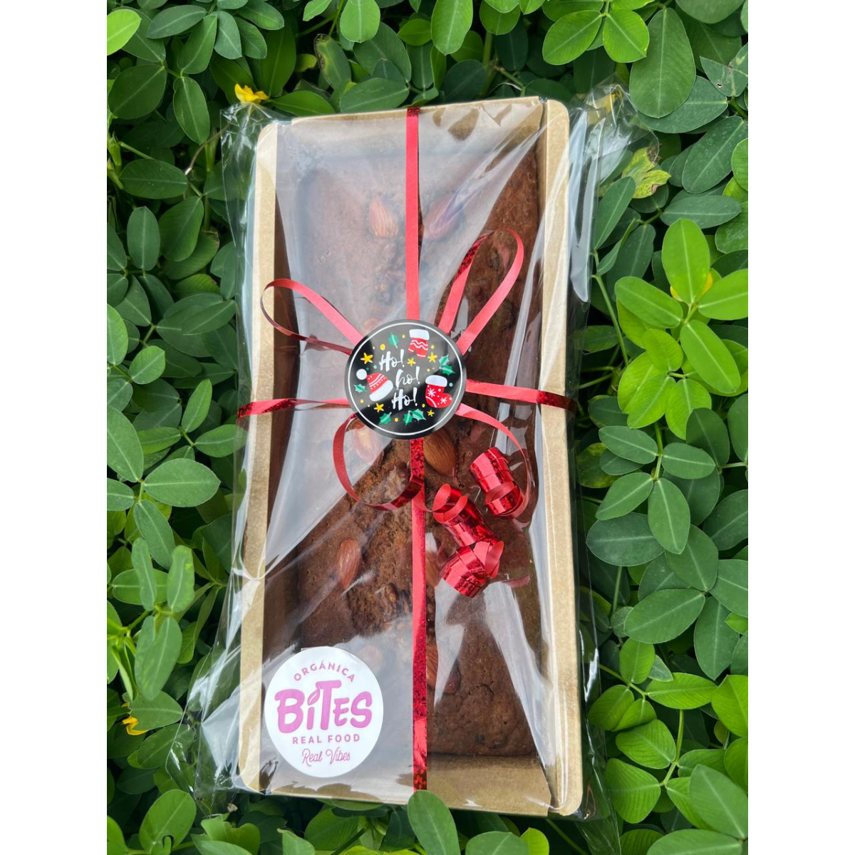 BITES Dulce de Fruta GF